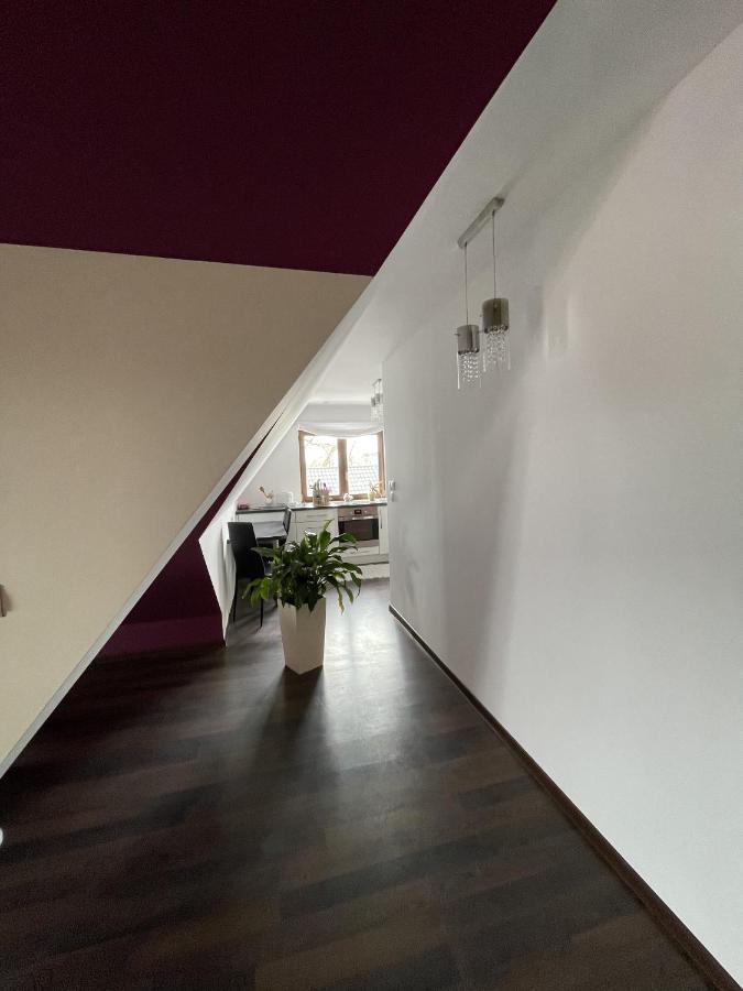 Apartament Podczerwone Czarny Dunajec Bagian luar foto