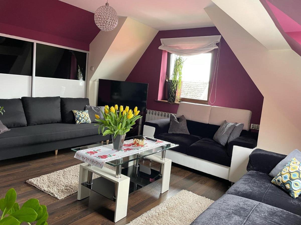 Apartament Podczerwone Czarny Dunajec Bagian luar foto